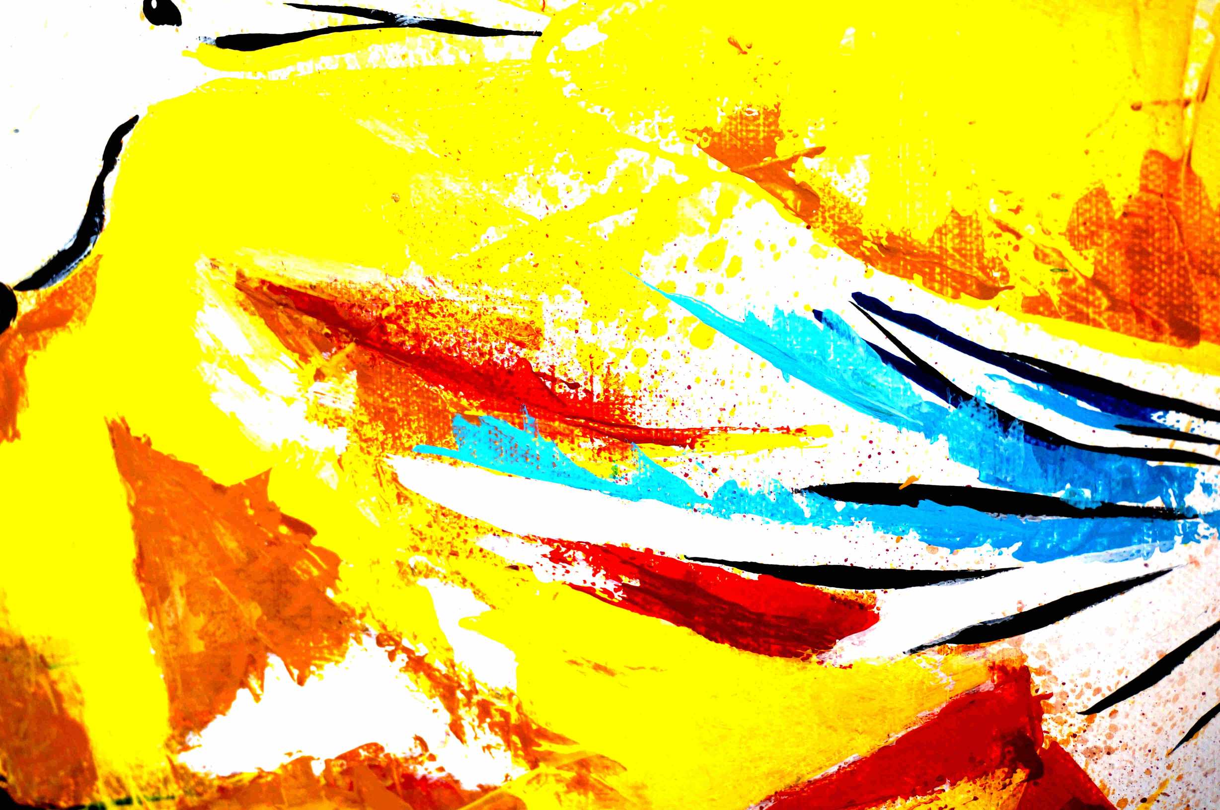 creation_tableau_colibris2